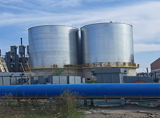Petroleum Coke Silo System